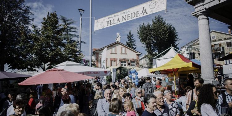 Programi i događanja