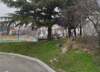 Uništavanje gnijezda borovog prelca na području Kastva