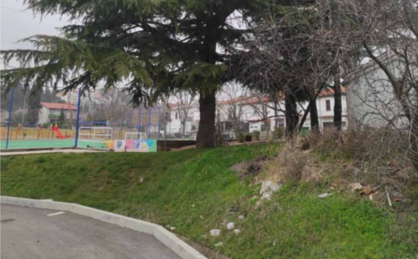 Uništavanje gnijezda borovog prelca na području Kastva