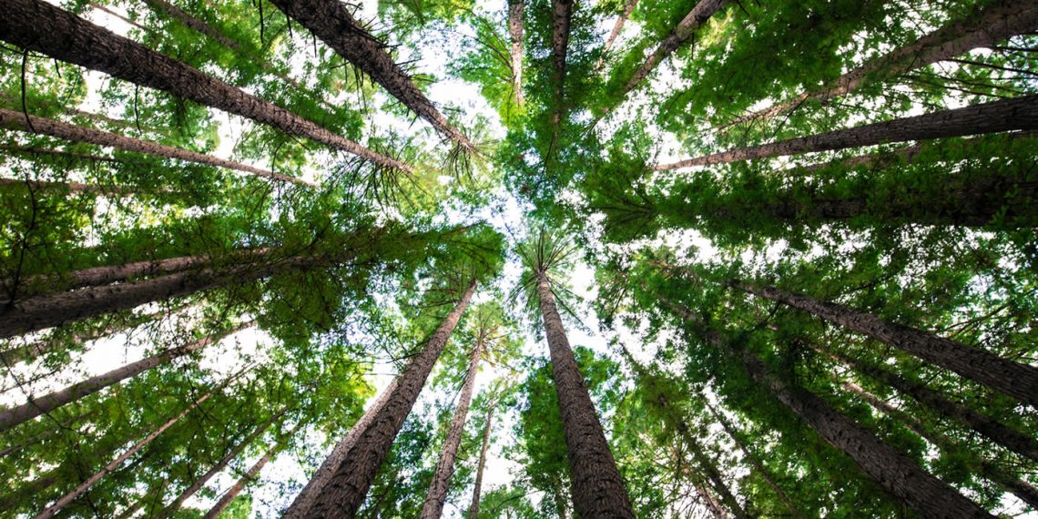 Prilagodba klimatskim uvjetima I