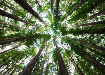 Prilagodba klimatskim uvjetima I