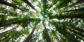 Prilagodba klimatskim uvjetima I